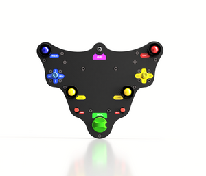 RD22-WD Rally / Drifting USB button plate